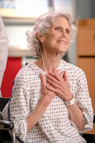 Anatomia lui Grey Sezonul 16 Episodul 13