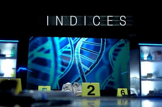 Crimes et indices