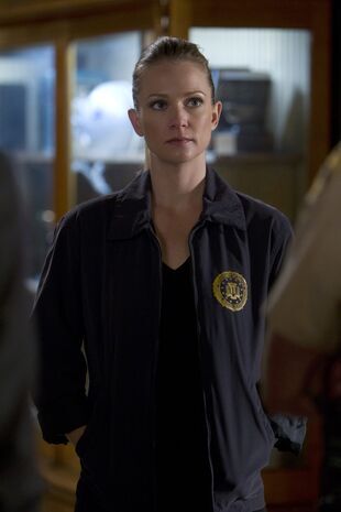 Minţi criminale Sezonul 9 Episodul 24