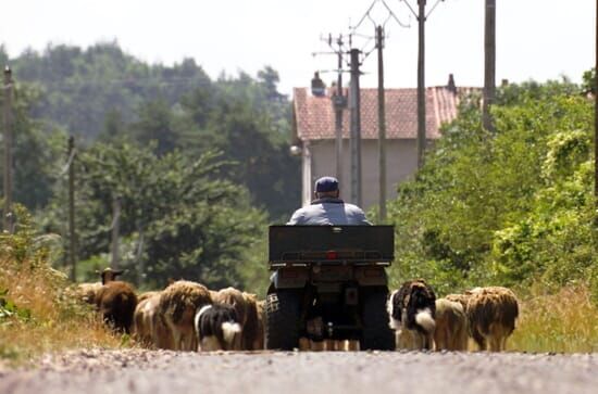 Tous au Larzac