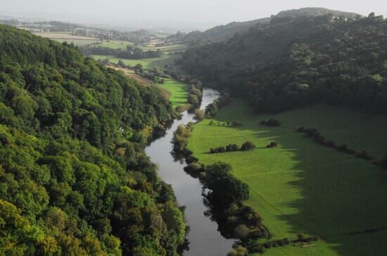 Wild Britain: A Year in...