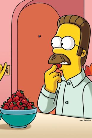 Les Simpson Saison 21 Épisode 5