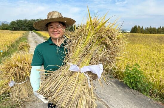 Naturjuwel Südkorea