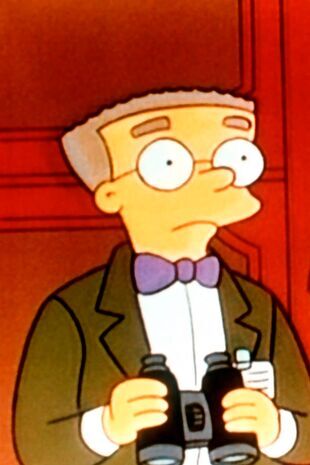 The Simpsons Seizoen 6 Aflevering 24