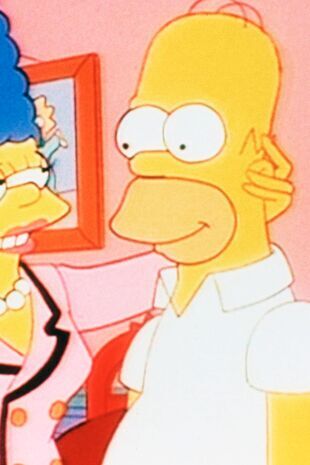 The Simpsons Seizoen 7 Aflevering 14