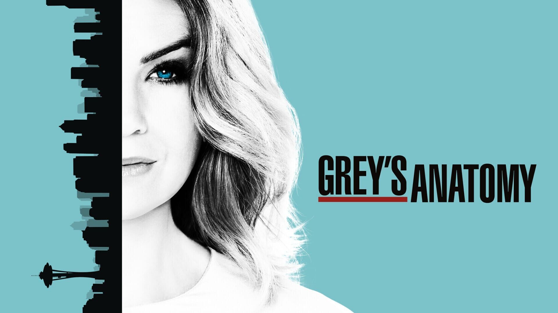 Anatomia lui Grey Sezonul 10 Episodul 8