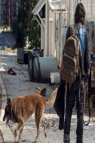 The Walking Dead: Invazia zombi Sezonul 10 Episodul 21