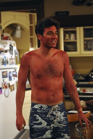 How I Met Your Mother Seizoen 6 Aflevering 24