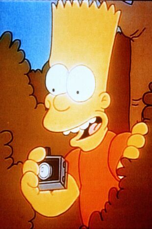 The Simpsons Seizoen 1 Aflevering 10