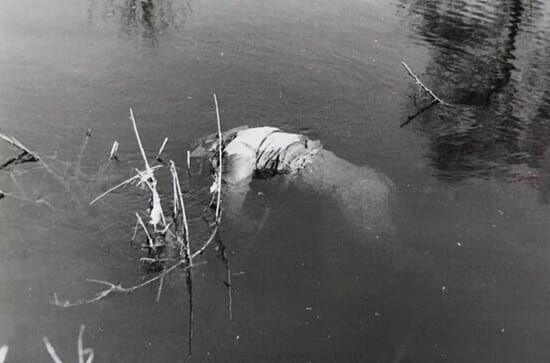 Mysteriöse Kriminalfälle der DDR