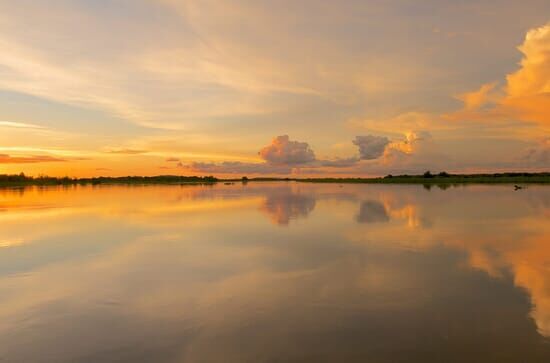 Wildes Brasilien