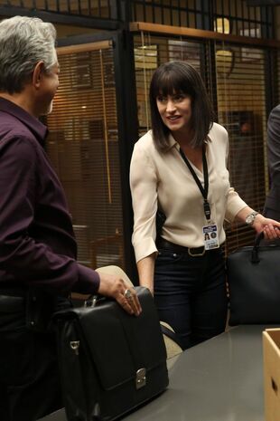 Minţi criminale Sezonul 14 Episodul 2