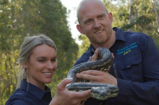 Snake Security – Schlangenalarm in Australien