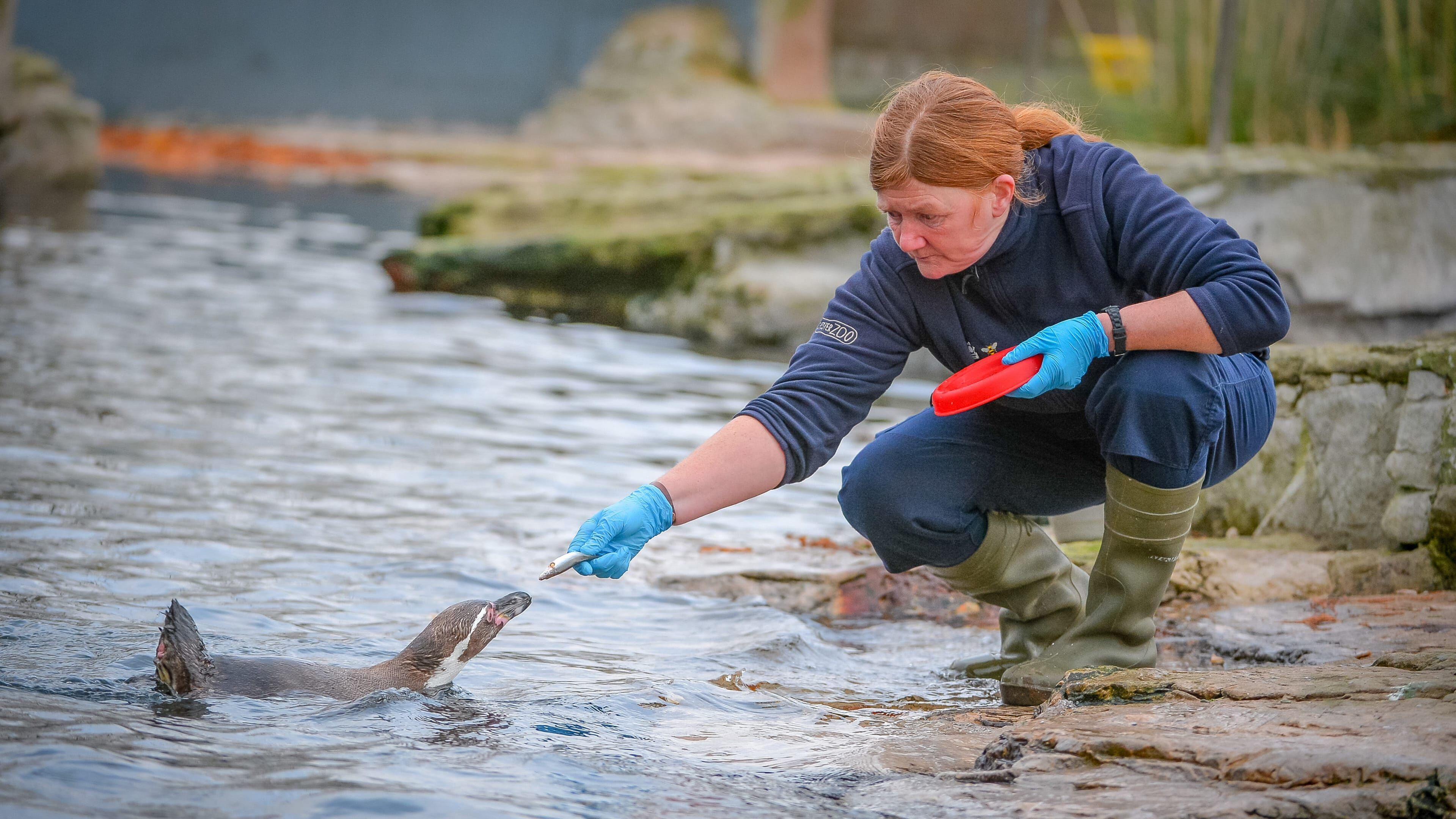 Zoo und so – Tierisch wild!