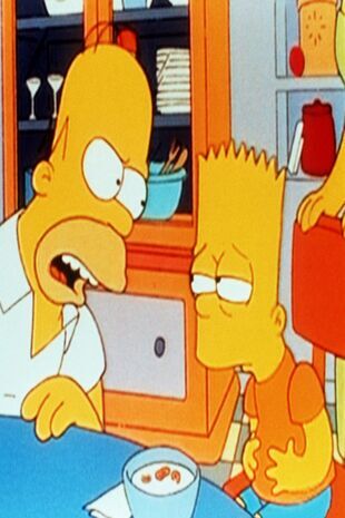 Les Simpson Saison 6 Épisode 22