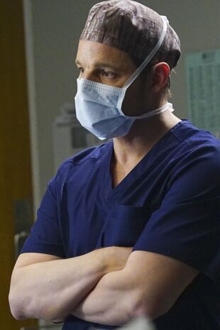 Anatomia lui Grey Sezonul 12 Episodul 15