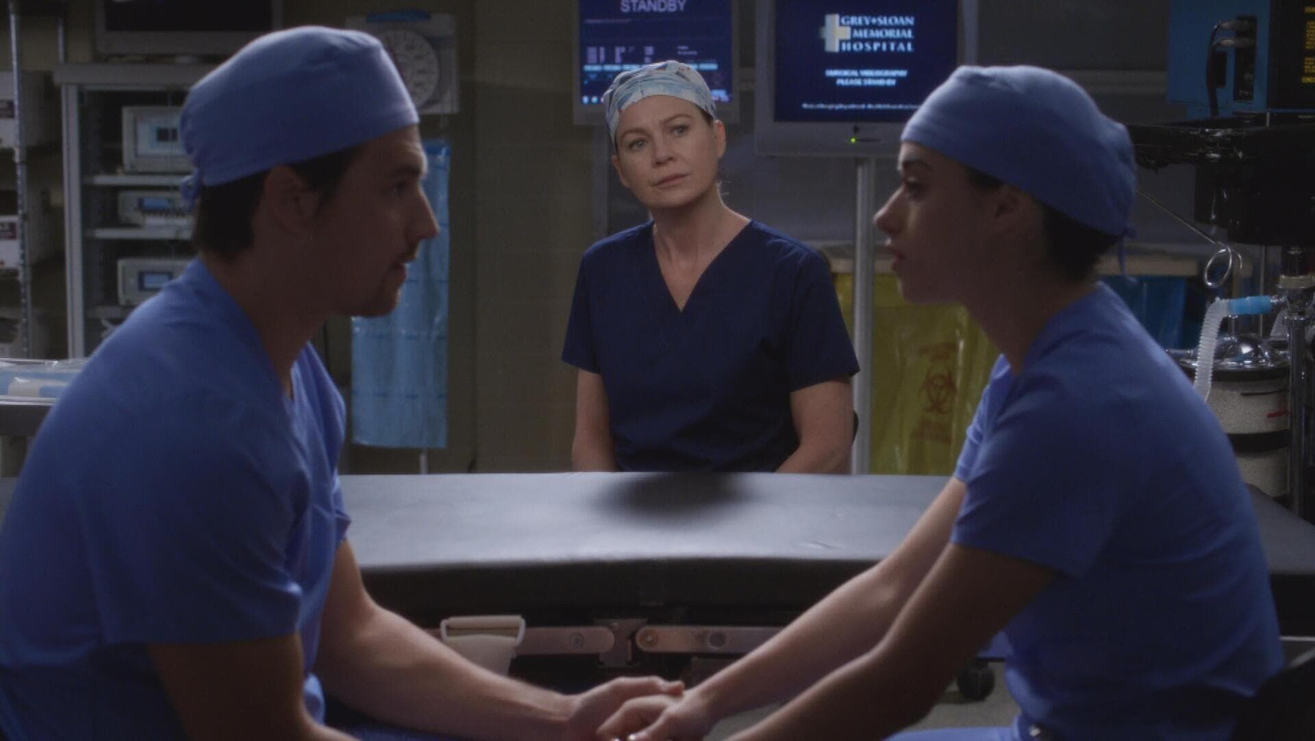 Anatomia lui Grey Sezonul 14 Episodul 19