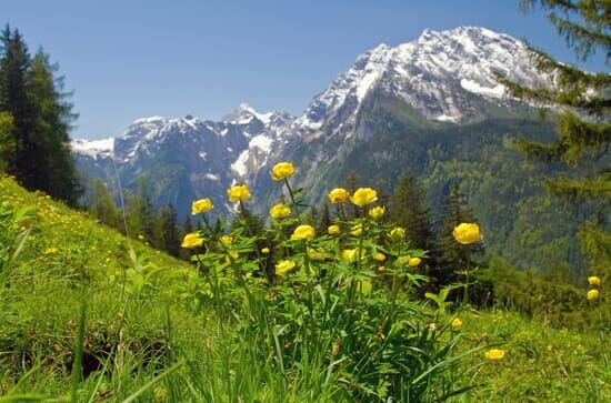 Heimat Natur – Berge,...