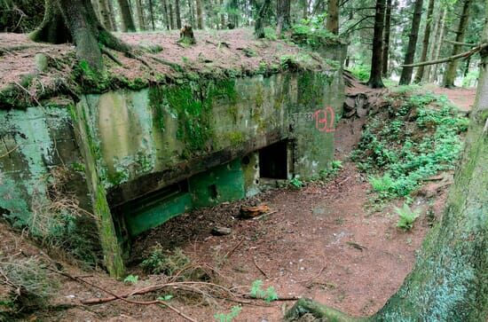 Die Schlacht im Hürtgenwald