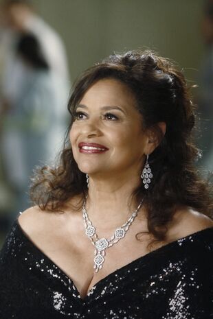 Anatomia lui Grey Sezonul 8 Episodul 17