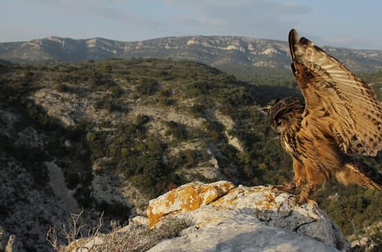 Frankreich – Wild und schön