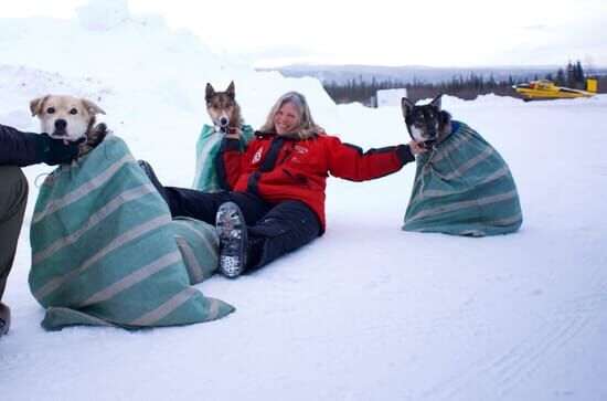 Mushers : à la conquête...