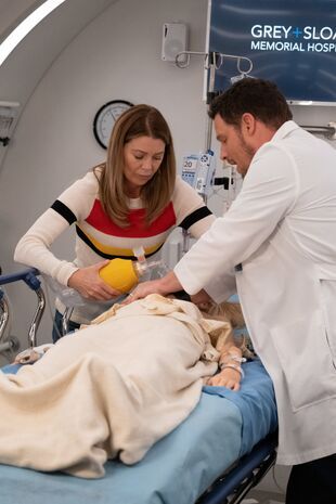 Anatomia lui Grey Sezonul 15 Episodul 25