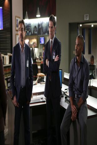 Minţi criminale Sezonul 10 Episodul 21