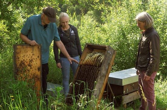 Die Bienenflüsterer