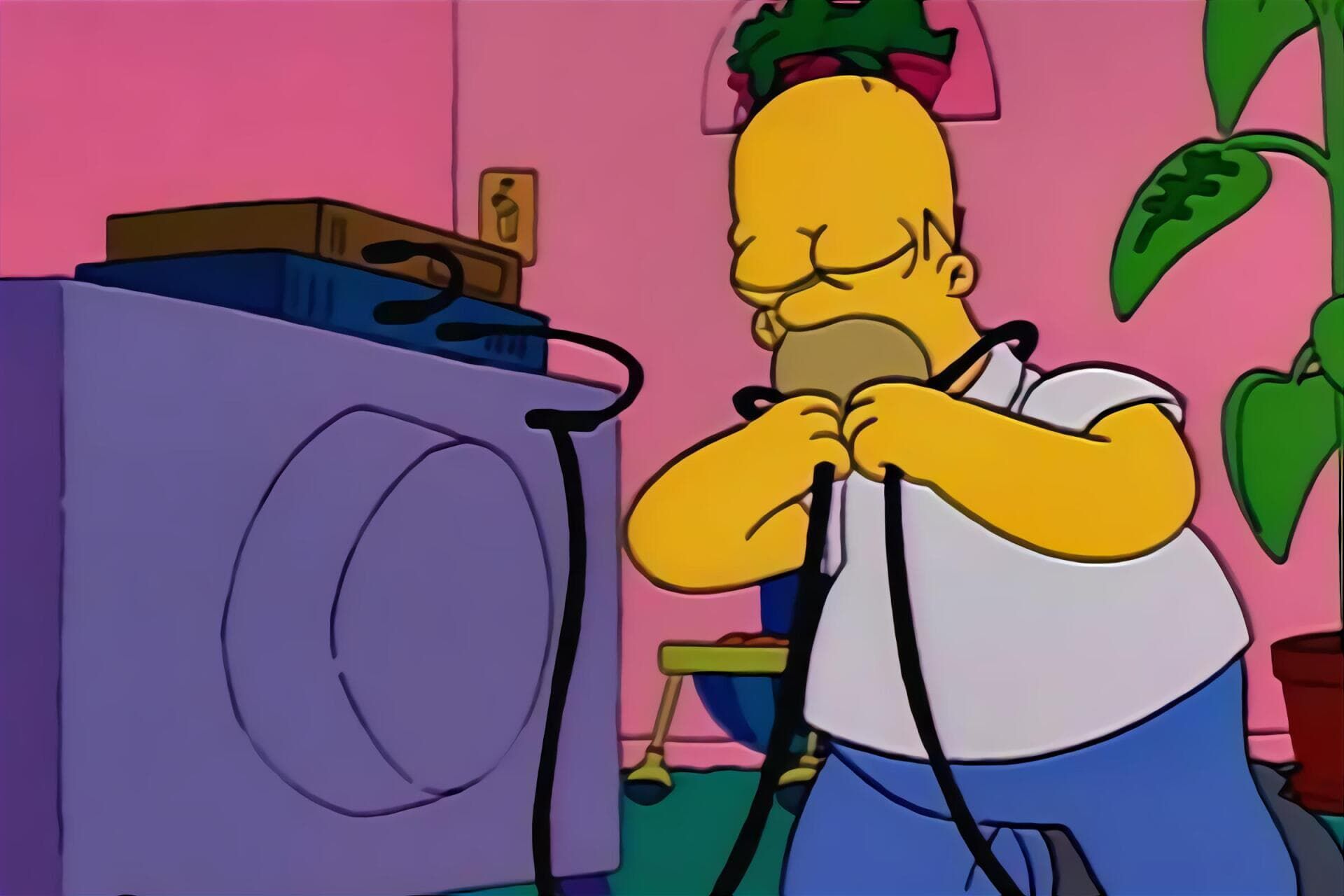 The Simpsons Seizoen 2 Aflevering 13