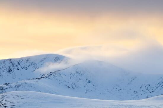 Scotland: The New Wild