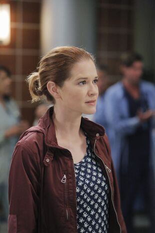 Anatomia lui Grey Sezonul 12 Episodul 6