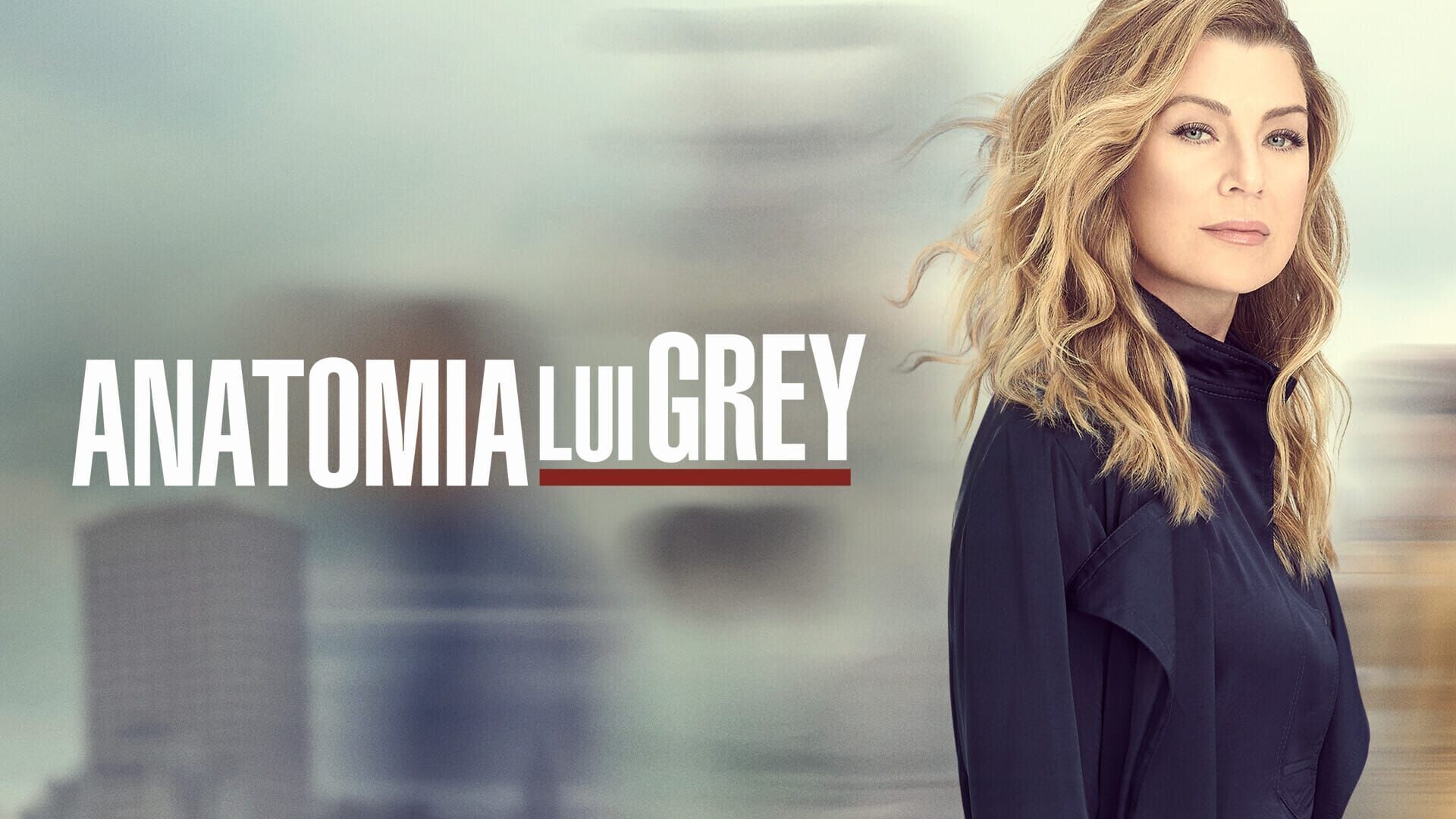 Anatomia lui Grey Sezonul 10 Episodul 8