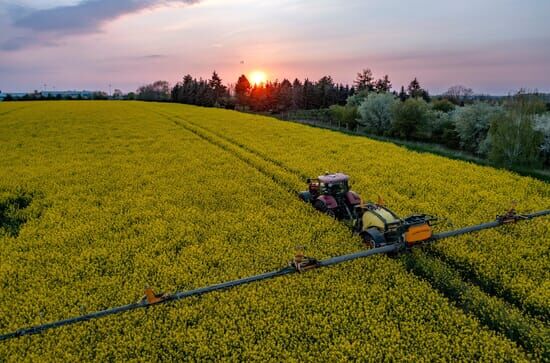 Die Geschichte der Landwirtschaft