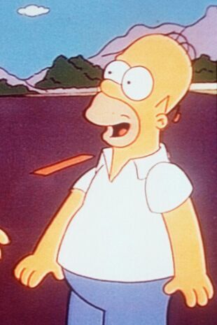 The Simpsons Seizoen 2 Aflevering 15