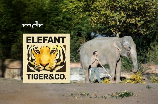 Elefant, Tiger & Co.