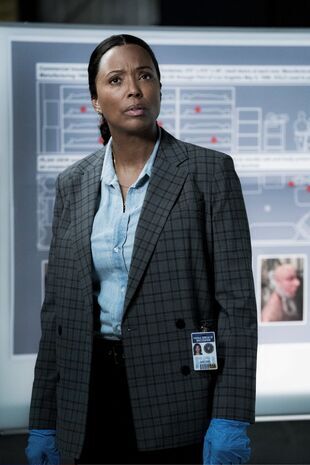 Minţi criminale Sezonul 16 Episodul 2