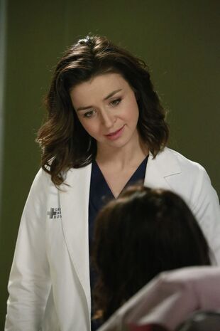 Anatomia lui Grey Sezonul 11 Episodul 20