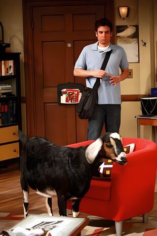 How I Met Your Mother Seizoen 4 Aflevering 9
