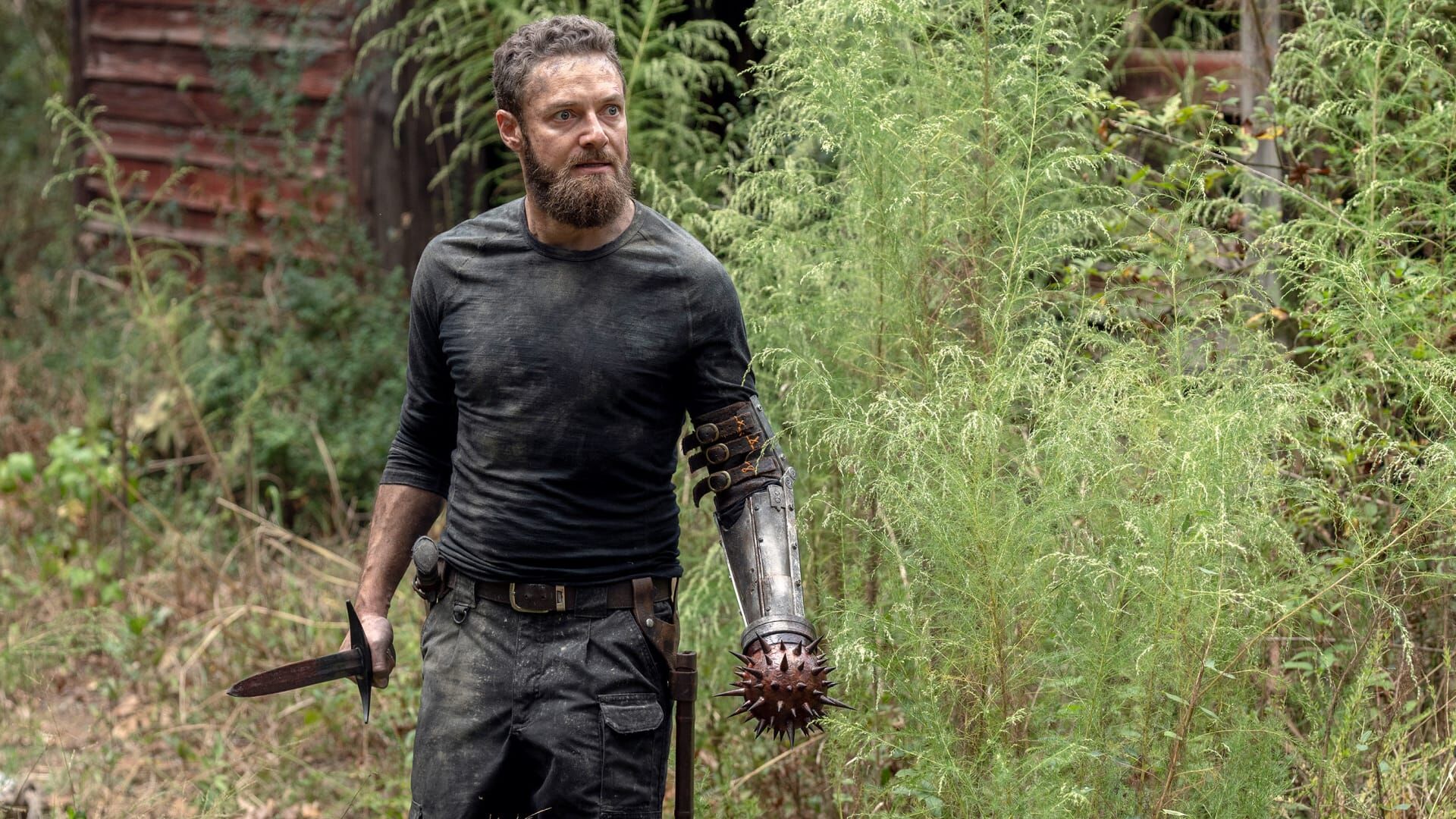 The Walking Dead: Invazia zombi Sezonul 10 Episodul 12