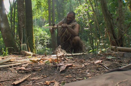 Ed Stafford: Wie ich die Welt überlebte