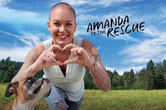 Amanda – Ein Herz für Hunde