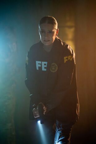 Minţi criminale Sezonul 17 Episodul 2