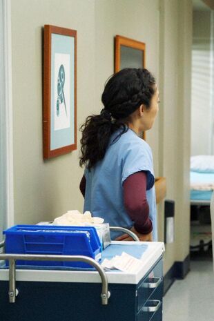 Anatomia lui Grey Sezonul 5 Episodul 11