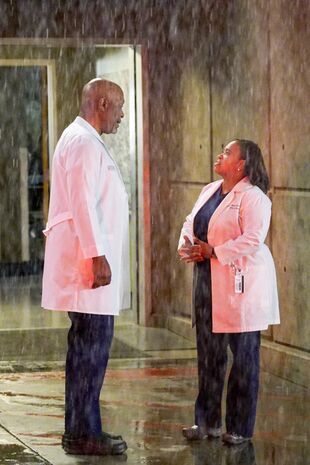 Anatomia lui Grey Sezonul 13 Episodul 9