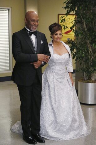 Anatomia lui Grey Sezonul 11 Episodul 25