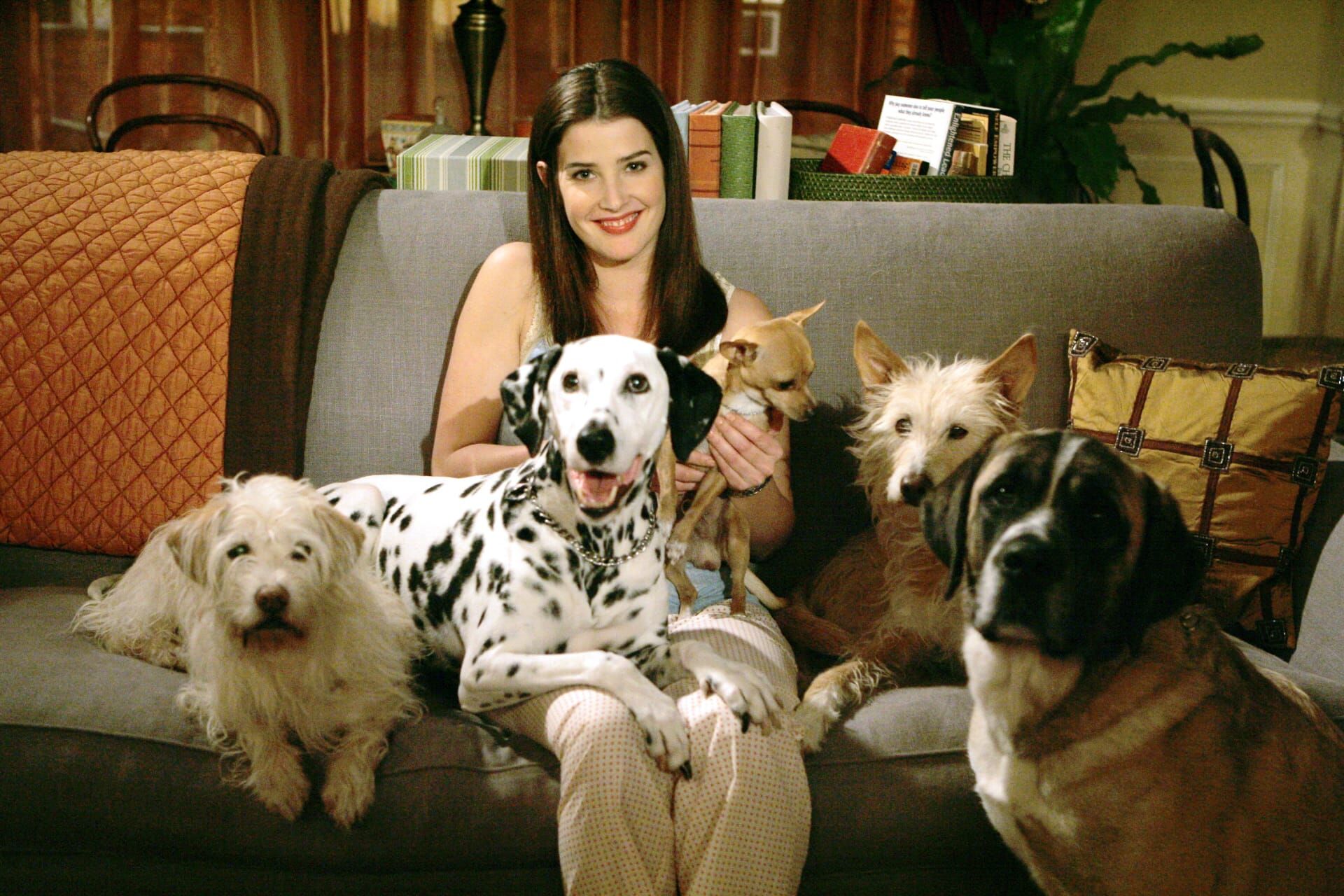 How I Met Your Mother Seizoen 1 Aflevering 18