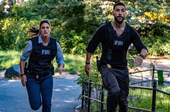 FBI: Special Crime Unit