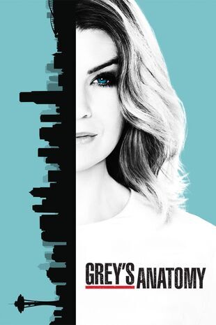 Anatomia lui Grey Sezonul 10 Episodul 8