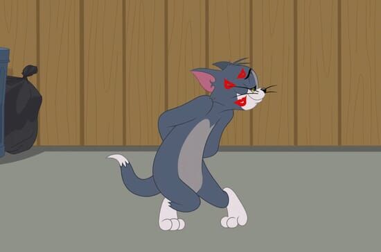 Die Tom und Jerry Show